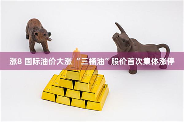 涨8 国际油价大涨 “三桶油”股价首次集体涨停