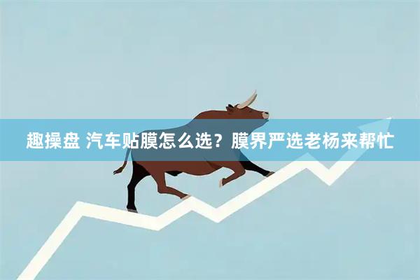 趣操盘 汽车贴膜怎么选？膜界严选老杨来帮忙