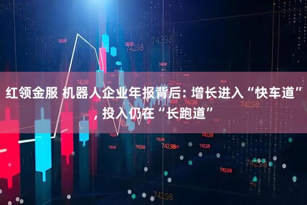 红领金服 机器人企业年报背后: 增长进入“快车道”, 投入仍在“长跑道”